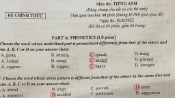 Gợi ý đáp án môn Tiếng Anh vào lớp 10 tỉnh Điện Biên năm 2022 đầy đủ nhất