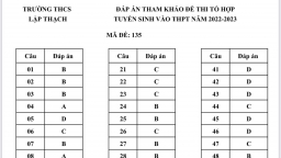 Gợi ý đáp án đề Tổ hợp vào lớp 10 tỉnh Vĩnh Phúc năm 2022 tất cả mã đề