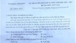 Đề thi vào lớp 10 môn Ngữ văn tỉnh Vĩnh Phúc năm 2022 đầy đủ nhất