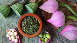 Chuyên gia Đông y mách nhỏ 2 bài thuốc từ tâm sen, người mất ngủ, khó ngủ mấy cũng hiệu quả
