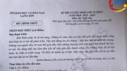 Đề thi vào lớp 10 môn Ngữ văn tỉnh Lạng Sơn năm 2022 mới nhất, chính xác nhất