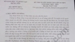 Đề thi môn Ngữ Văn lớp 10 tỉnh Hưng Yên năm 2022 mới, đầy đủ nhất