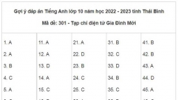 Gợi ý đáp án Tiếng Anh vào lớp 10 tỉnh Thái Bình 2022 nhanh nhất, tất cả mã đề