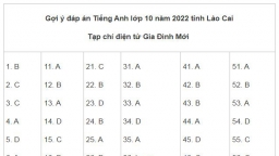 Gợi ý đáp án môn Tiếng Anh vào lớp 10 tỉnh Lào Cai năm 2022 nhanh nhất