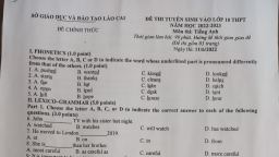 Đề thi môn Tiếng Anh vào lớp 10 tỉnh Lào Cai năm 2022 đầy đủ nhất