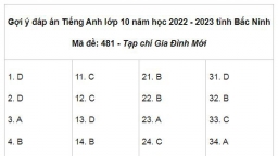 Gợi ý đáp án môn Tiếng Anh vào lớp 10 Bắc Ninh 2022 tất cả mã đề