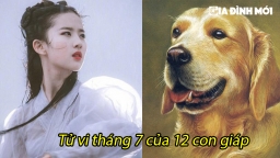 Tử vi tháng 7 của 12 con giáp: Tuổi Mão công việc thuận lợi, tuổi Thìn mang họa vào thân