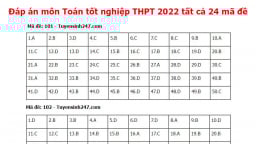 Gợi ý đáp án môn Toán tốt nghiệp THPT 2022 tất cả 24 mã đề