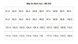 Gợi ý đáp án môn Sinh học tốt nghiệp THPT 2022 tất cả 24 mã đề