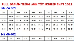 Gợi ý đáp án môn Tiếng Anh tốt nghiệp THPT 2022 tất cả 24 mã đề