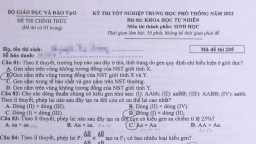 Đề thi môn Sinh học tốt nghiệp THPT 2022 tất cả mã đề đầy đủ nhất