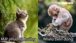 Tháng 7 cô hồn: 4 con giáp xui xẻo làm đâu hỏng đó, tiền bạc trôi sông lúc nào cũng không hay