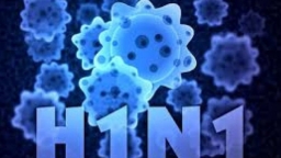 Cúm A/H1N1 có những triệu chứng gì, cách phân biệt cúm A và cảm cúm thông thường