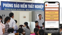 2 bước đơn giản để chi trả trợ cấp thất nghiệp online cho người lao động