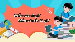 Điểm sàn và điểm chuẩn là gì, hai loại điểm này khác nhau như thế nào?