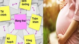 9 điều cần chuẩn bị trước khi mang thai, nhiều chị em đang quên điều số 9