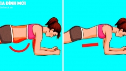 4 bài tập giúp bạn plank lâu hơn, giảm mỡ bụng hiệu quả mà không đau lưng