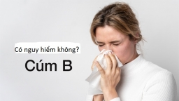 Bệnh cúm B có nguy hiểm không?