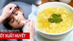 3 nguyên tắc quan trọng trong ăn uống giúp người bị sốt xuất huyết sớm phục hồi