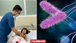 Vi khuẩn Salmonella khiến 600 học sinh Nha Trang ngộ độc là gì, nguy hiểm như thế nào?