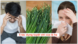 5 công dụng tuyệt vời của lá hẹ, biết rồi trồng ngay trong vườn để sử dụng