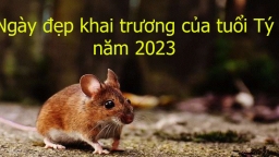 Tuổi Tý khai trương, mở hàng ngày nào đẹp nhất năm 2023 để cả năm tiền tiêu rủng rỉnh?