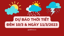 Dự báo thời tiết 11/3/2023: Hà Nội mưa rét ngày cuối tuần