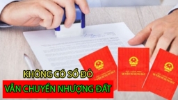 2 trường hợp đất không có Sổ đỏ vẫn được chuyển nhượng