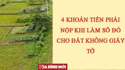 Người dân sử dụng đất không có giấy tờ trước 1/7/2014 chú ý, cần chuẩn bị sẵn 4 khoản tiền nếu nhận được tin nhắn đất đủ điều kiện cấp Sổ đỏ