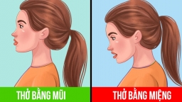 6 thay đổi có thể xảy ra với cơ thể khi bạn thở bằng miệng