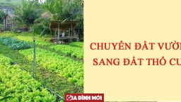 Nhiều người đang có hàng trăm mét vuông đất vườn, muốn chuyển sang đất thổ cư để xây nhà thì làm ngay 2 việc này trong năm 2023