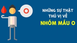 Những ai thuộc nhóm máu O có nguy cơ mắc các bệnh tim mạch thấp nhất nhưng lại dễ mắc 2 bệnh phổ biến, cần chú ý 2 điều này