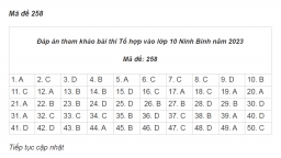 Gợi ý đáp án Tổ hợp vào lớp 10 Ninh Bình 2023 nhanh nhất, nóng nhất