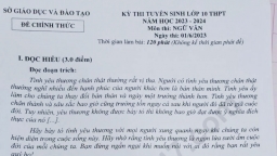 Đề thi môn Ngữ văn vào lớp 10 Bình Dương năm 2023 đầy đủ nhất