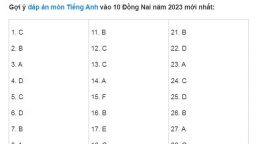 Đề thi môn Tiếng Anh vào 10 Đồng Nai 2023 nóng nhất có đáp án