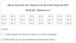 Gợi ý đáp án môn Tiếng Anh vào lớp 10 Bắc Giang năm 2023 các mã đề