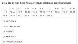 Đề thi môn Tiếng Anh vào lớp 10 Quảng Ngãi năm 2023 có đáp án