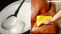Sữa chua hết hạn đừng vội vứt đi, 6 công dụng tuyệt vời của nó sẽ khiến bạn bất ngờ đấy!