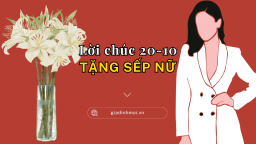 29 lời chúc 20/10 cho sếp, giám đốc, quản lý nữ hay nhất