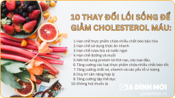 Cholesterol cao là gì, có nguy hiểm không? Cách giảm cholesterol máu an toàn