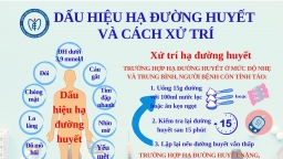 [Infographic] Dấu hiệu cảnh báo hạ đường huyết và cách xử trí