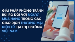 Giải pháp phòng tránh rủi ro đối với người mua hàng trong các giao dịch TMĐT tại thị trường Việt Nam