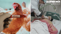 [Infographic] 6 cách phòng chống cúm A(H5N1) lây từ gia cầm sang người