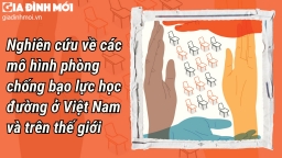 Nghiên cứu về các mô hình phòng chống bạo lực học đường ở Việt Nam và trên thế giới