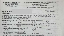 Đề thi tổ hợp khoa học tự nhiên tốt nghiệp THPT 2024 nóng nhất