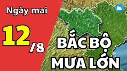 Dự báo thời tiết ngày mai 12/8: Bắc Bộ mưa lớn, đề phòng lũ quét và sạt lở đất