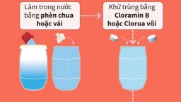 Cách xử lý nước để người dân vùng bão lụt có nước sạch sử dụng