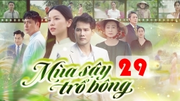 Mùa sậy trổ bông tập 29 trực tiếp THVL1 ngày 30/9/2024