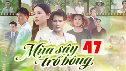 Mùa sậy trổ bông tập 47 trực tiếp THVL1 ngày 21/10/2024