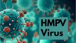 Sở Y tế TP.HCM: Virus HMPV gây bệnh viêm phổi ở Trung Quốc không phải virus mới